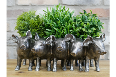 Quirky Pig Planter - Rustic Farmhouse Decor