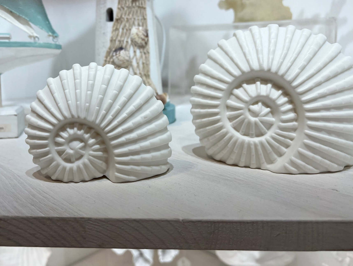 Porcelain Ammonite Shell LED Light White Nautical Decor