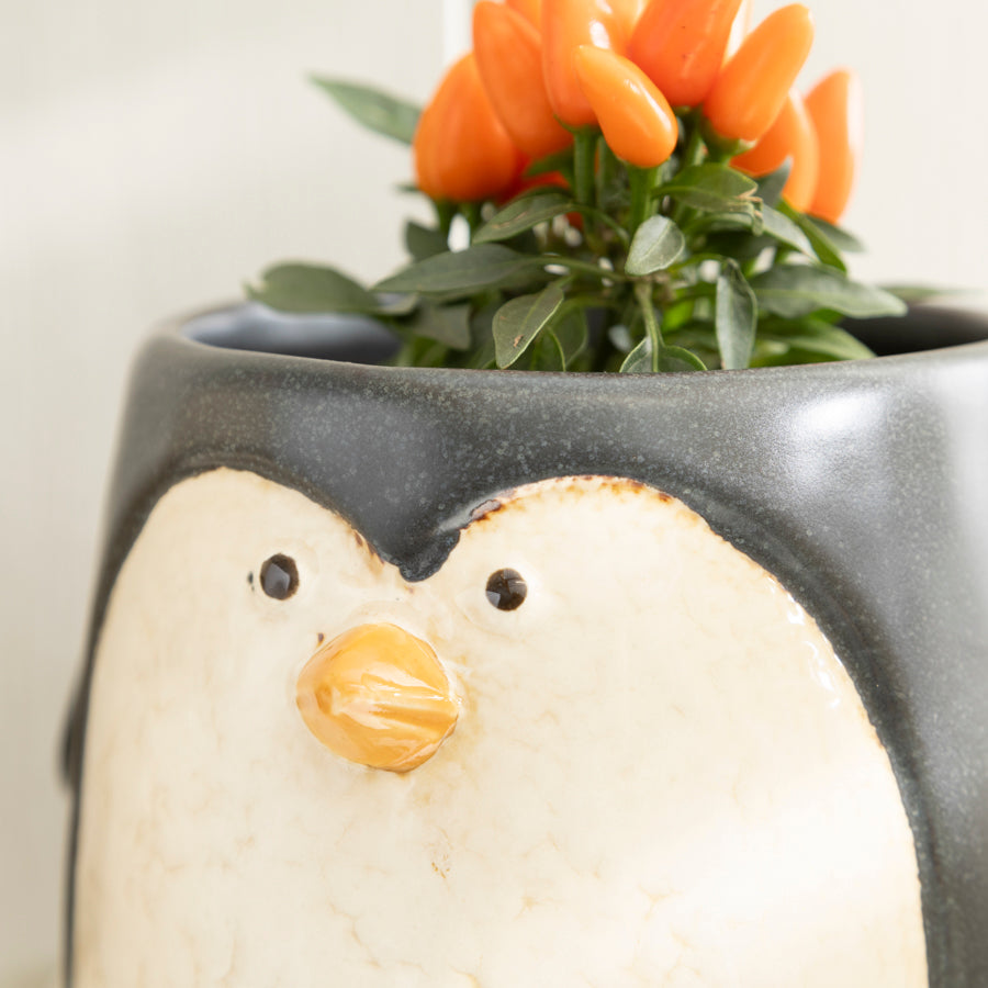 Coastal Animal Ceramic Planters – Fun and Unique Home Decor