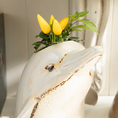 Coastal Animal Ceramic Planters – Fun and Unique Home Decor