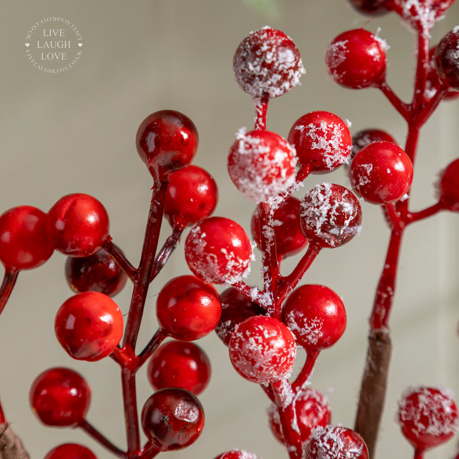 Faux Red Berry Stems Set of 3 – Natural & Frosted Decorative Picks