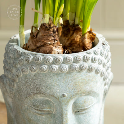 Concrete Buddha Head Planters – Zen-Inspired Garden and Home Decor