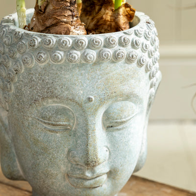 Concrete Buddha Head Planters – Zen-Inspired Garden and Home Decor