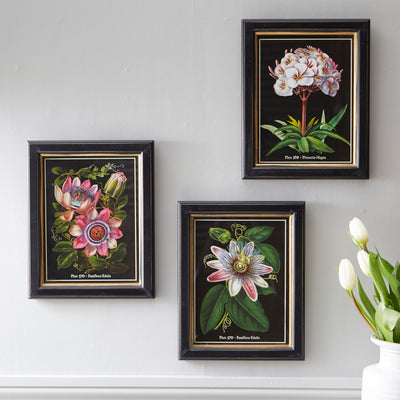 Set of 3 Framed Botanical Wall Art - Elegant Floral Prints