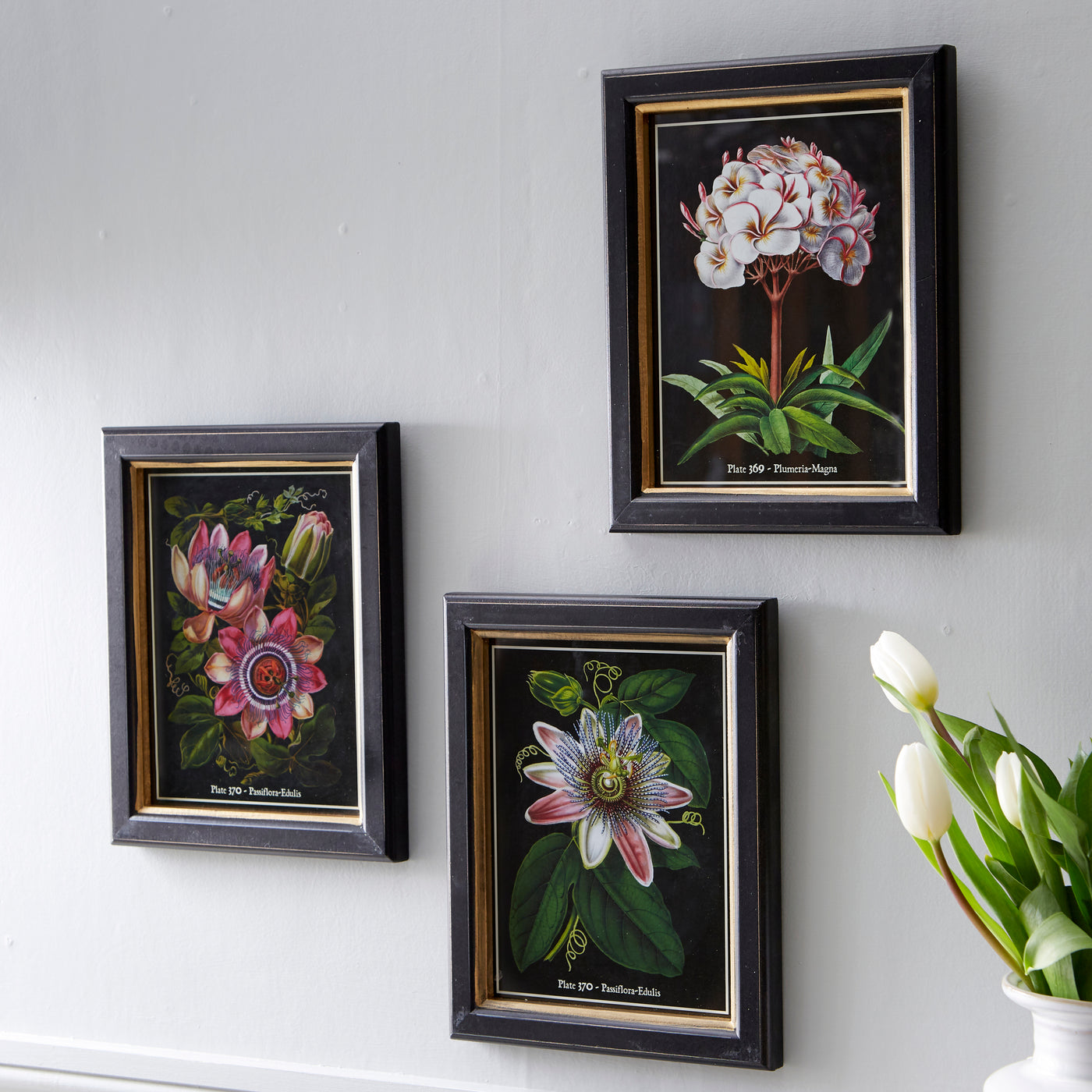 Set of 3 Framed Botanical Wall Art - Elegant Floral Prints