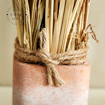 Rustic Dried Floral Arrangements Set of 3 in Terracotta Pots