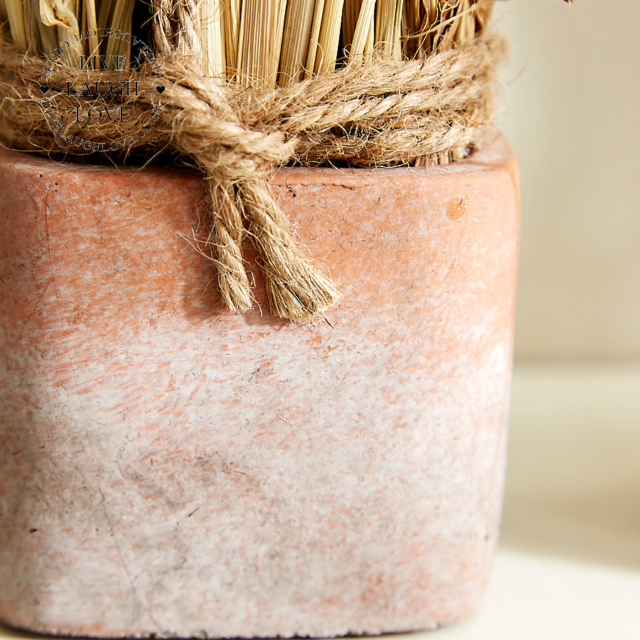 Rustic Dried Floral Arrangements Set of 3 in Terracotta Pots