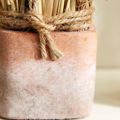 Rustic Dried Floral Arrangements Set of 3 in Terracotta Pots