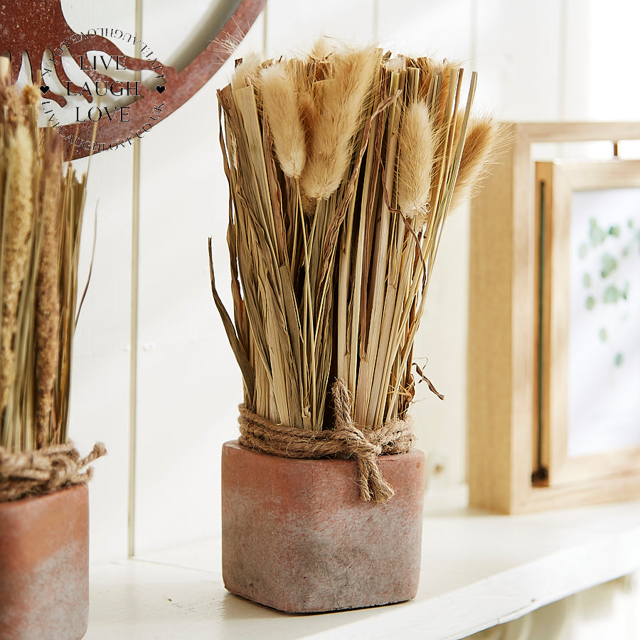 Rustic Dried Floral Arrangements Set of 3 in Terracotta Pots