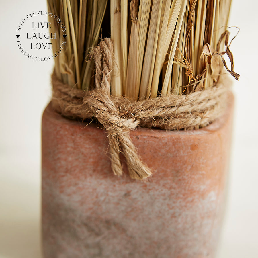 Rustic Dried Floral Arrangements Set of 3 in Terracotta Pots