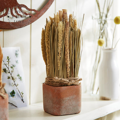 Rustic Dried Floral Arrangements Set of 3 in Terracotta Pots