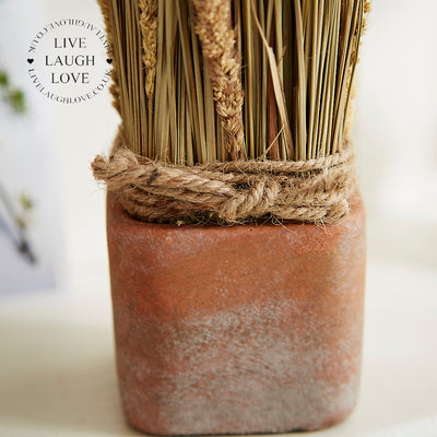 Rustic Dried Floral Arrangements Set of 3 in Terracotta Pots