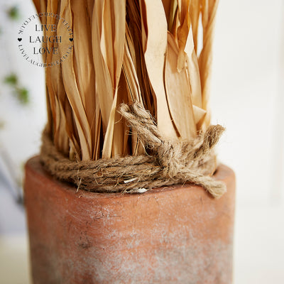 Rustic Dried Floral Arrangements Set of 3 in Terracotta Pots