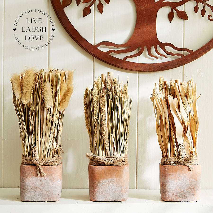 Rustic Dried Floral Arrangements Set of 3 in Terracotta Pots