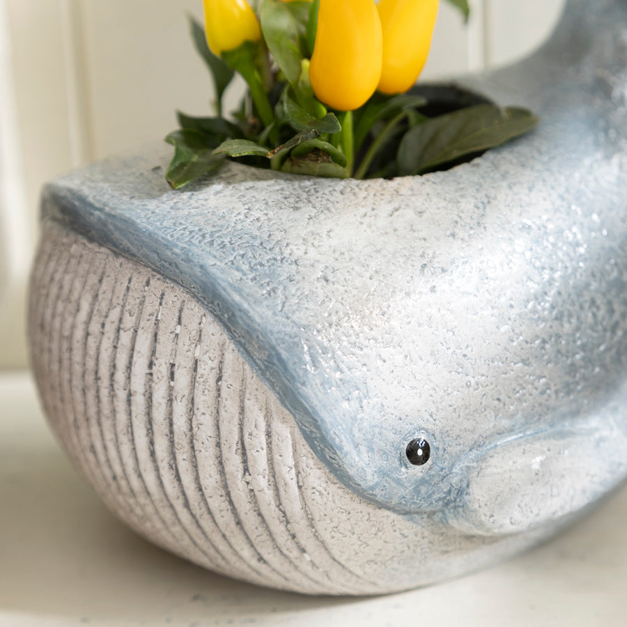 Ceramic Whale Planter