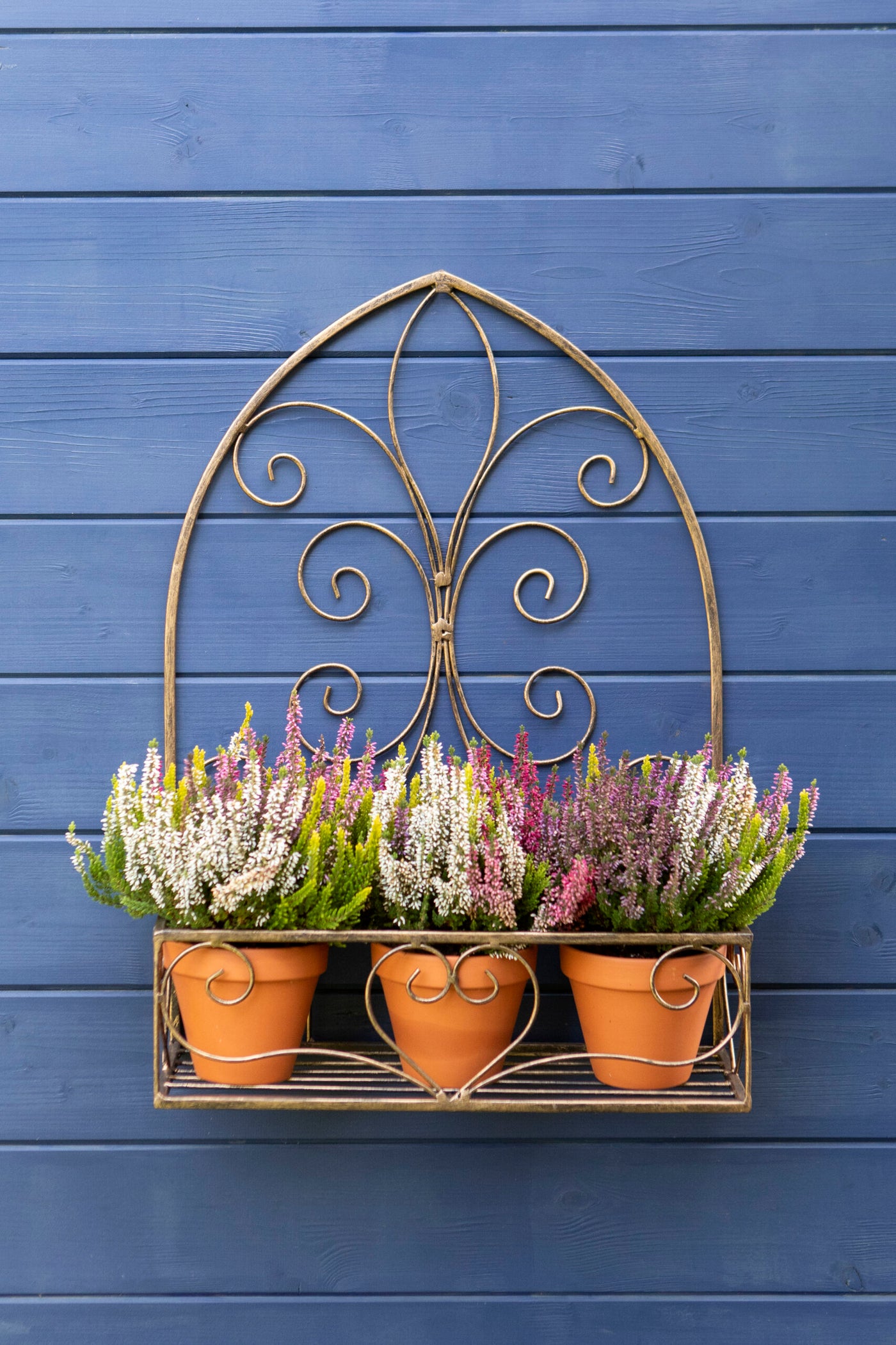 Rustic Arched Metal Planter with Decorative Scrollwork