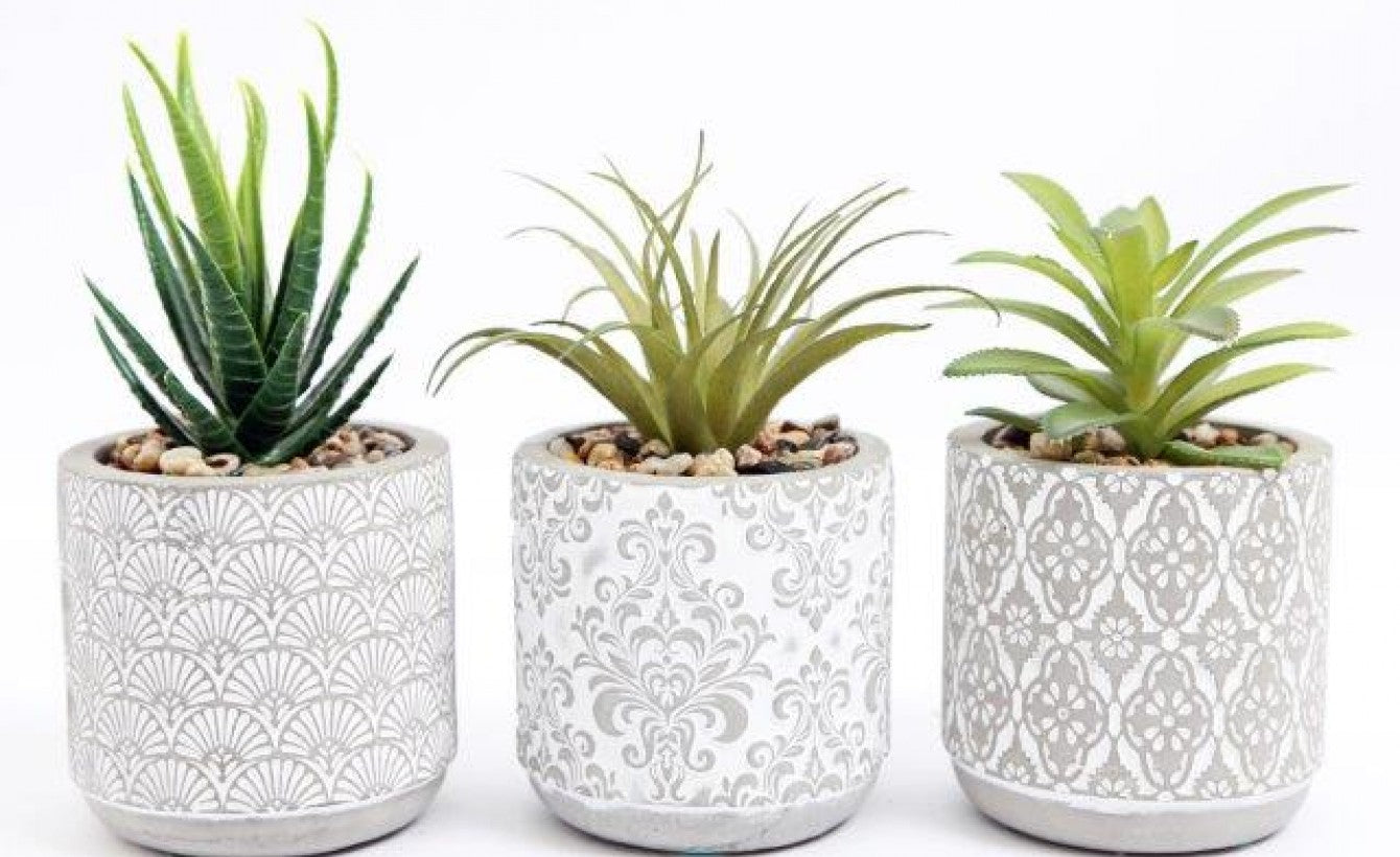 Set of 3 Patterned Artificial Succulents in Decorative Cement Pots