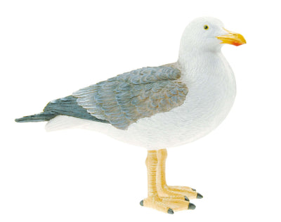 Seaside Seagull Ideal Shelf Sitter