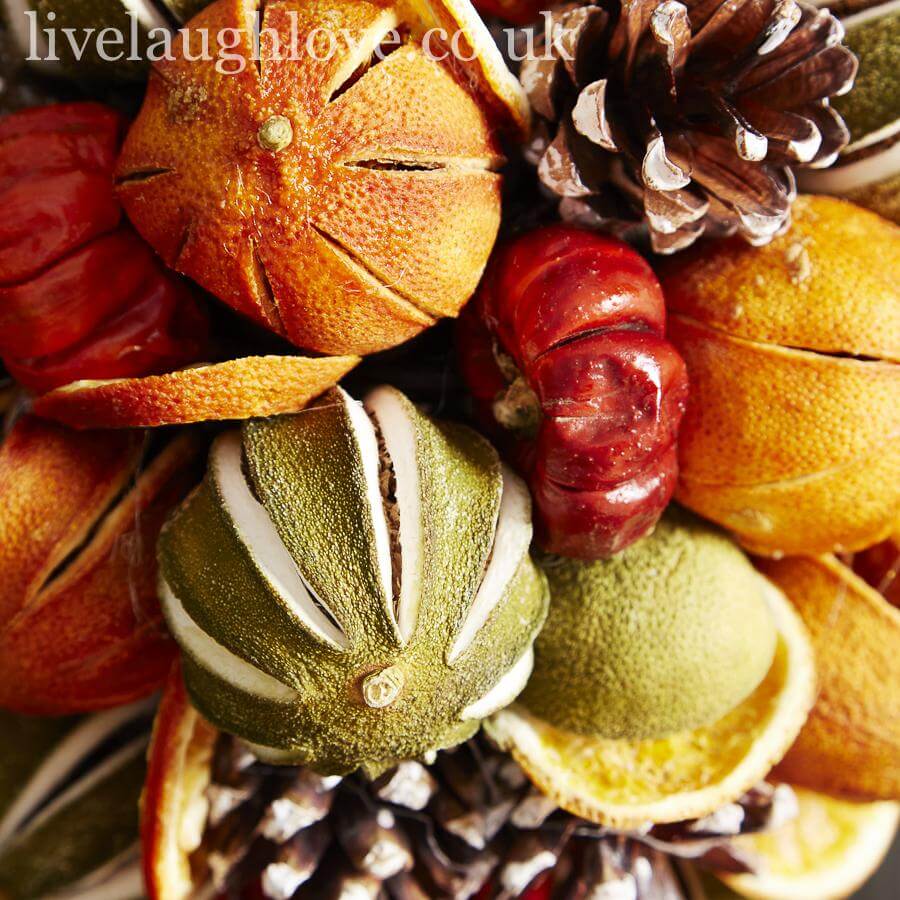 Lollipop Fruit Tree - 25CM - LIVE LAUGH LOVE LIMITED